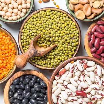 Legumes (பருப்பு)