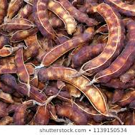 புளி/Tamarind