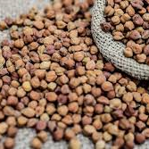 Kondakkadalai (small)/சின்ன கொன்டைகடலை